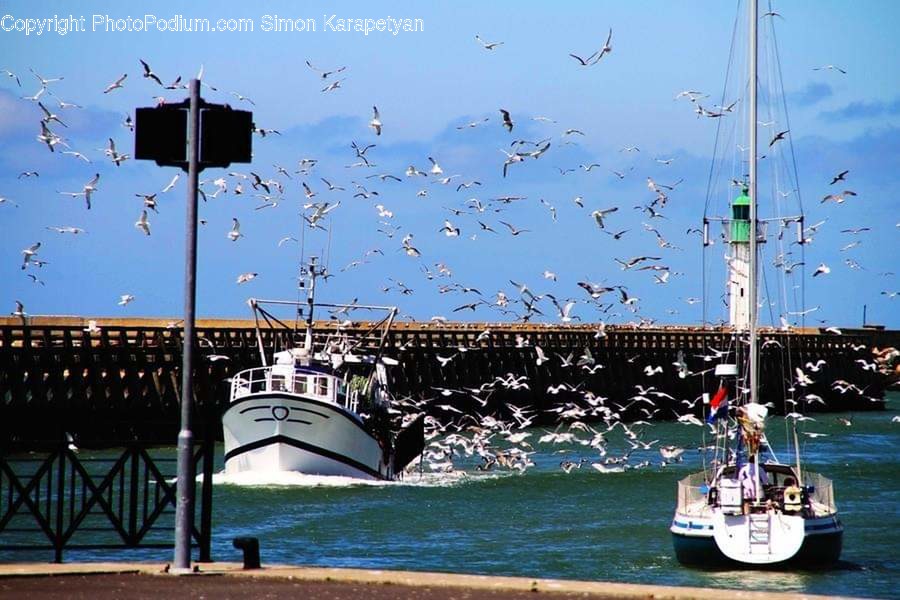 Transportation, Vessel, Watercraft, Yacht, Boat
