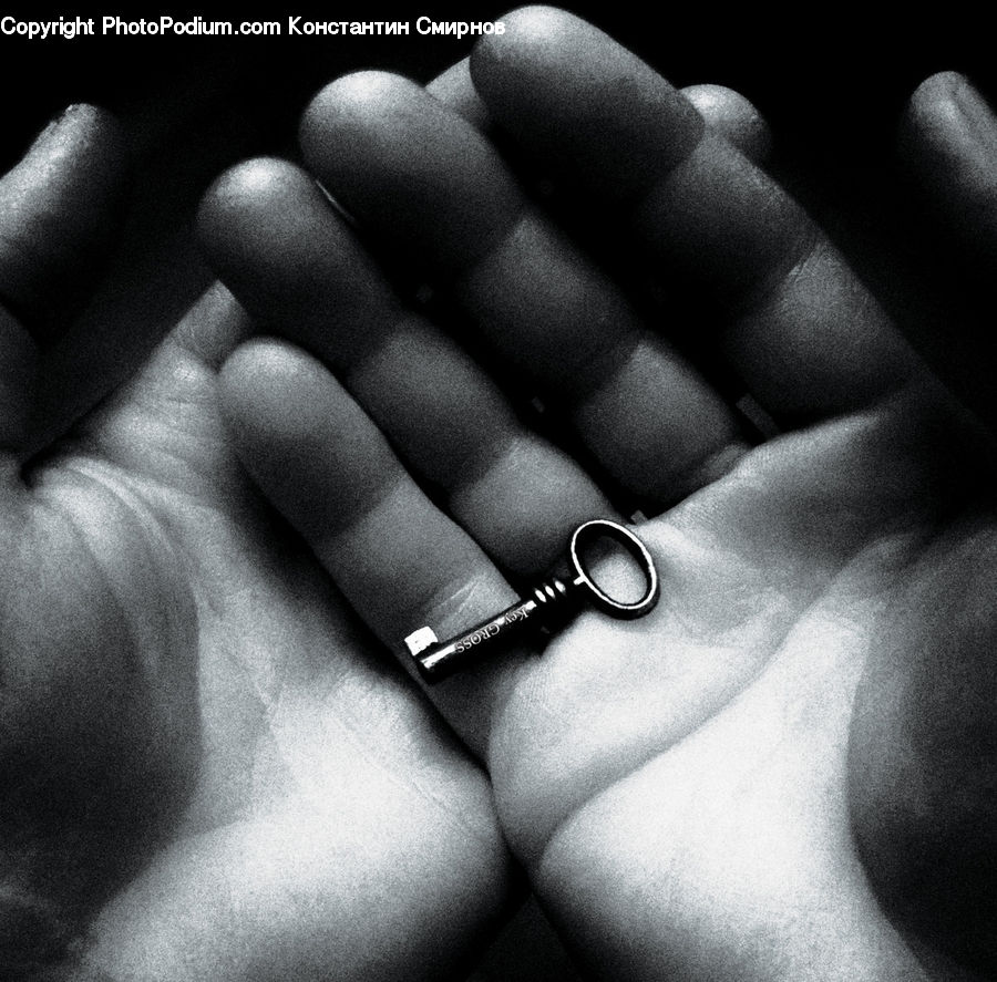 Jewelry, Ring, Finger, Hand