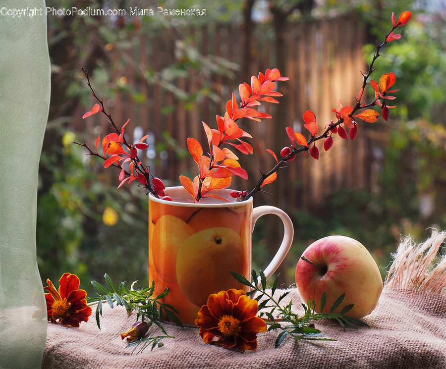 Apple, Flora, Food, Fruit, Plant