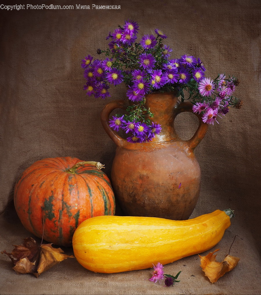 Flora, Food, Gourd, Plant, Produce