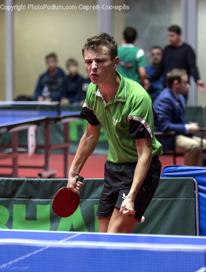 Human, People, Person, Ping Pong, Sport