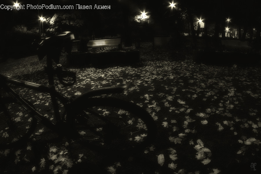 Night, Outdoors, Lighting, Urban, Asphalt