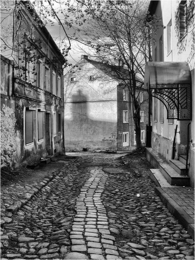 Alley, Alleyway, Building, City, Road
