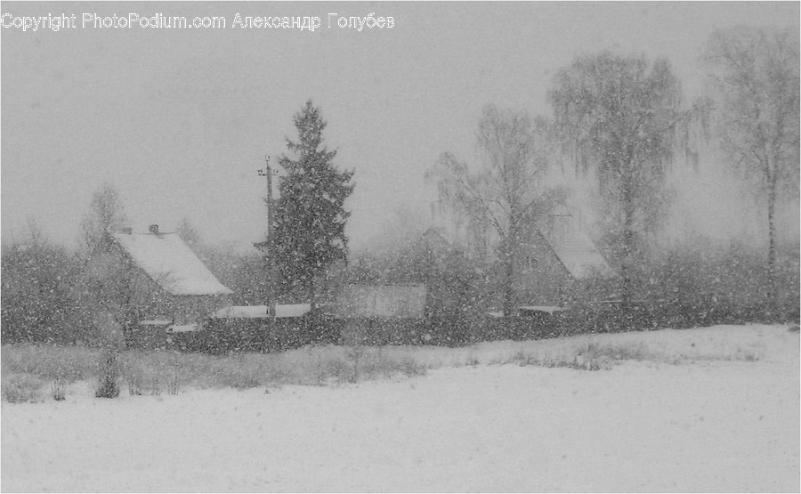 Blizzard, Nature, Outdoors, Snow, Storm