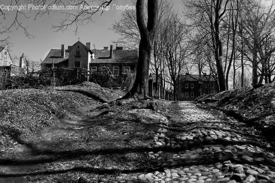 Building, Cottage, House, Housing, Villa