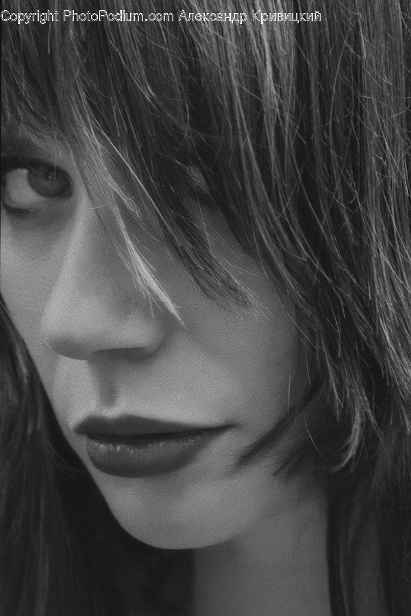 Human, People, Person, Face, Portrait