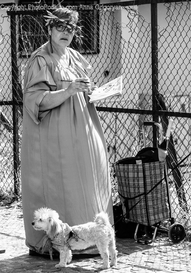 Human, People, Person, Animal, Canine