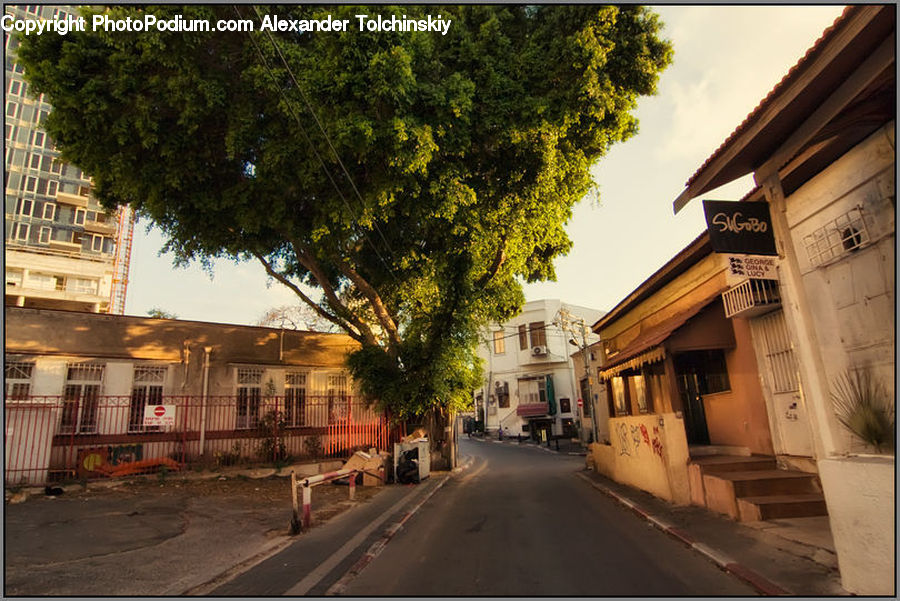 Downtown, Neighborhood, Town, Apartment Building, Building, High Rise, Road
