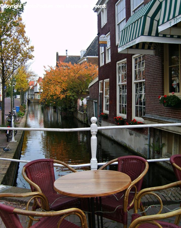 Chair, Furniture, Cafe, Cafeteria, Food Court, Dining Table, Table