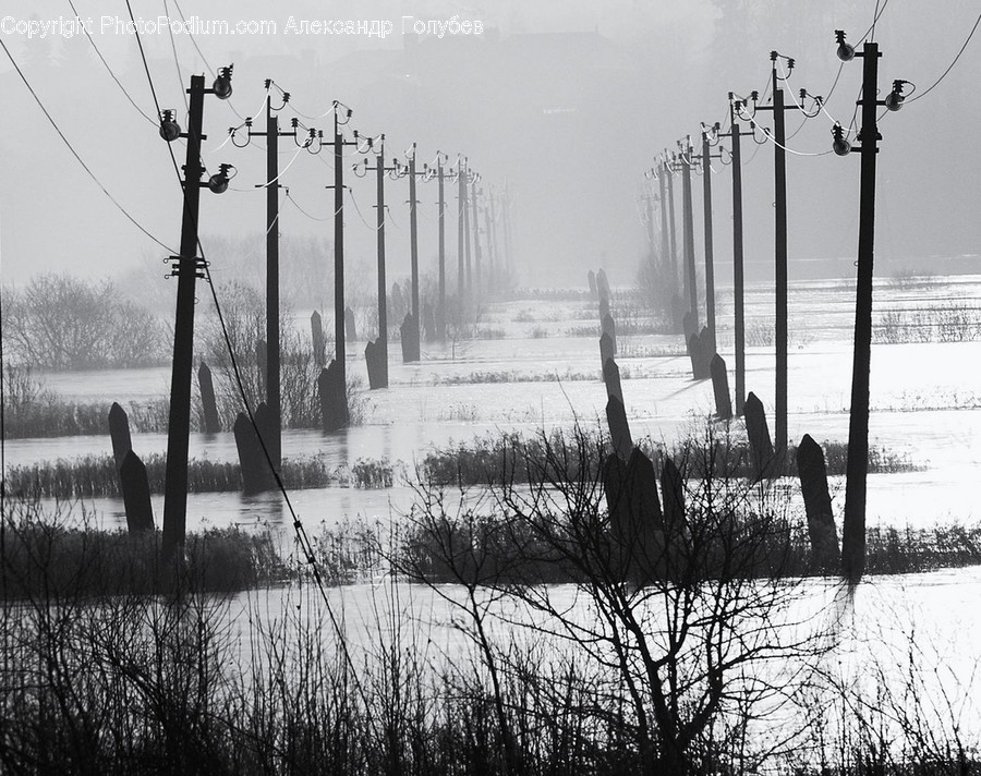 Dock, Pier, Land, Marsh, Outdoors