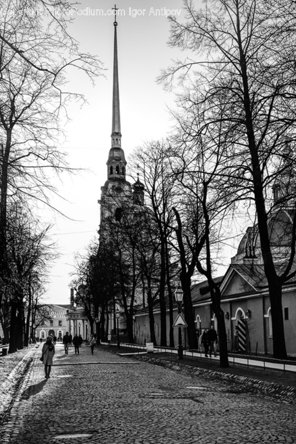 Architecture, Building, Cathedral, Church, Worship