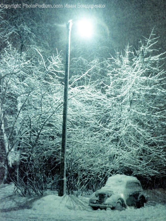 Blizzard, Nature, Outdoors, Snow, Storm