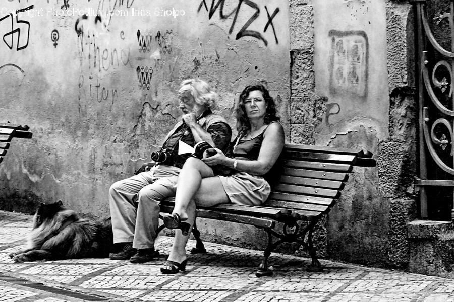 Human, People, Person, Bench, Brick