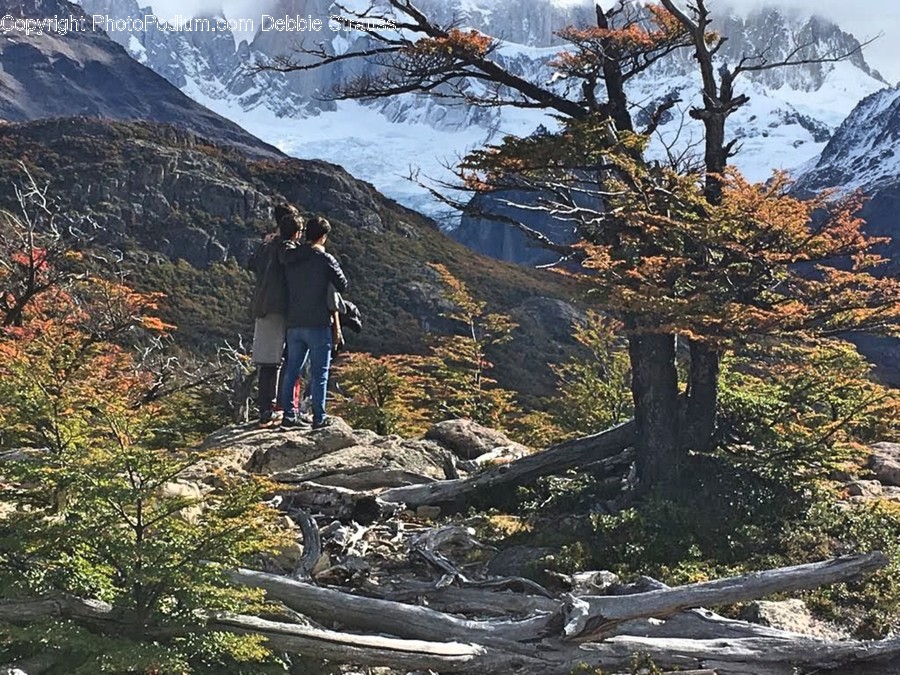 Human, People, Person, Hiking, Leisure Activities