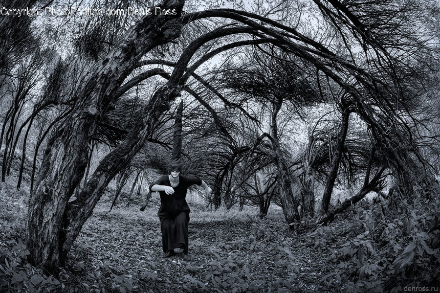 Human, People, Person, Flora, Plant
