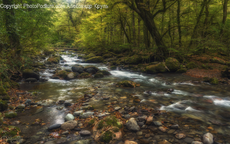 Creek, Outdoors, Stream, Water, Rock