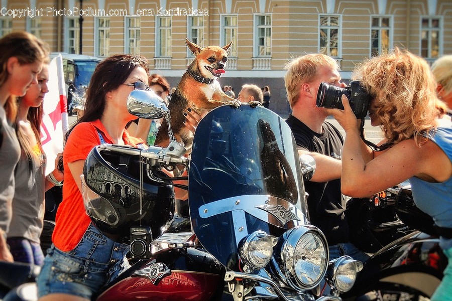 Human, People, Person, Motorcycle, Transportation
