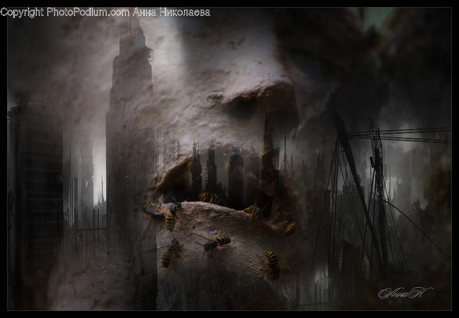 Fireplace, Hearth, Cave, Nature