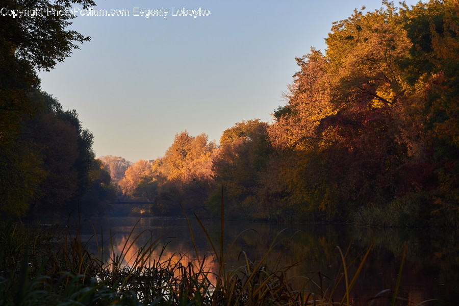Dawn, Dusk, Nature, Outdoors, Red Sky