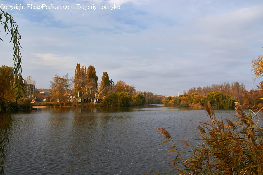 Lake, Outdoors, Water, Flora, Grass