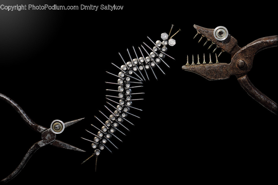 Skeleton, Emblem
