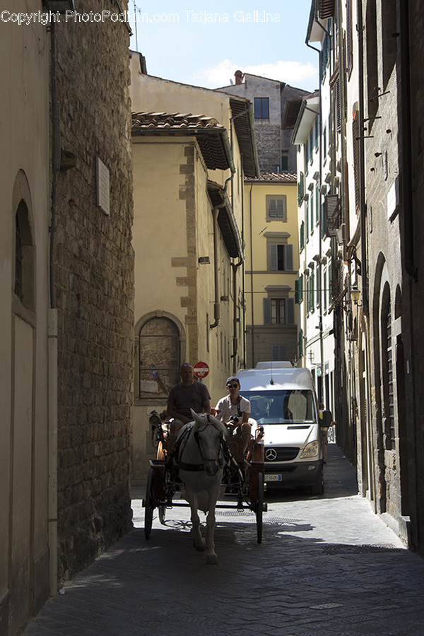 Animal, Horse, Mammal, Carriage, Transportation