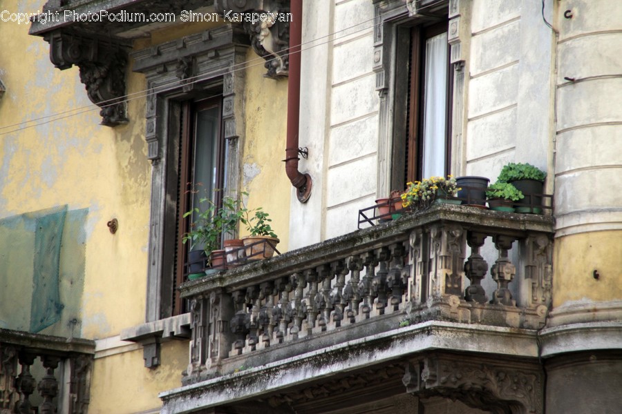 Balcony, Flora, Jar, Plant, Potted Plant