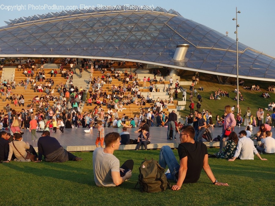 Human, People, Person, Crowd, Arena