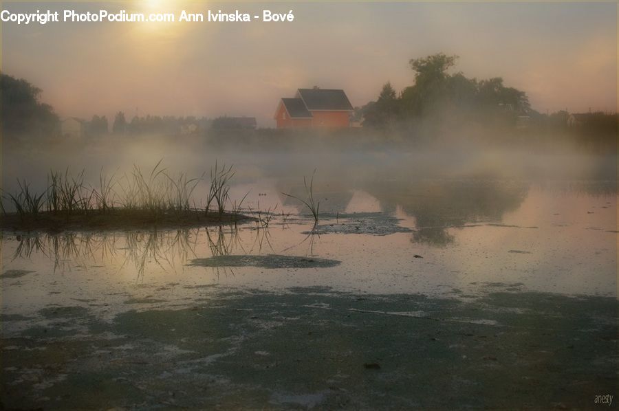 Fog, Dawn, Dusk, Sky, Sunrise, Sunset, Pollution