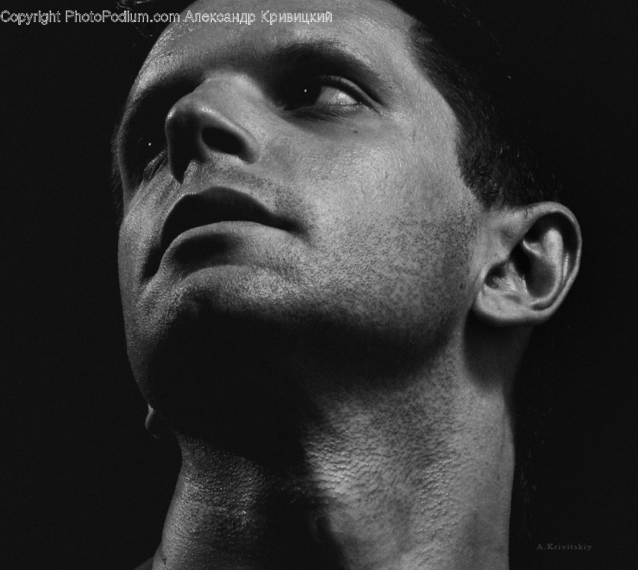 Face, Human, Person, Portrait, Head