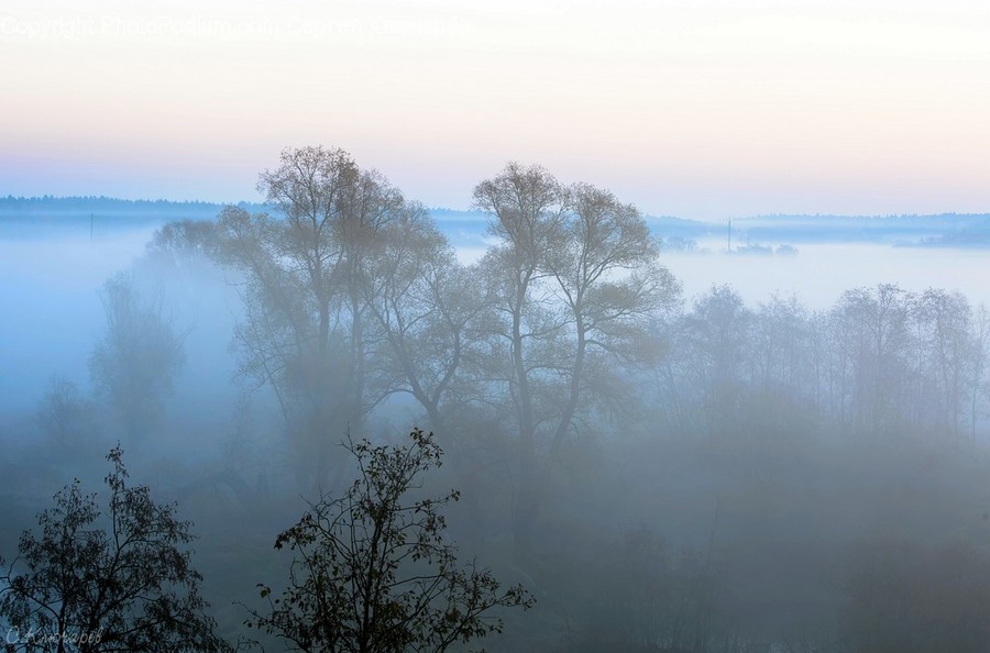 Fog, Nature, Weather, Mist, Outdoors