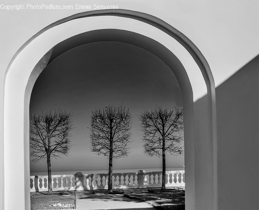 Arch, Arched, Architecture, Building, Flora