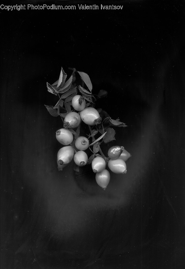 Flora, Food, Plant, Produce, Vegetable