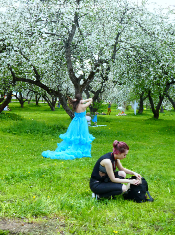 Human, People, Person, Flora, Oak