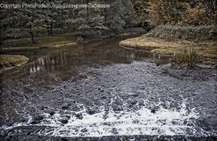 Creek, Outdoors, Stream, Water, River