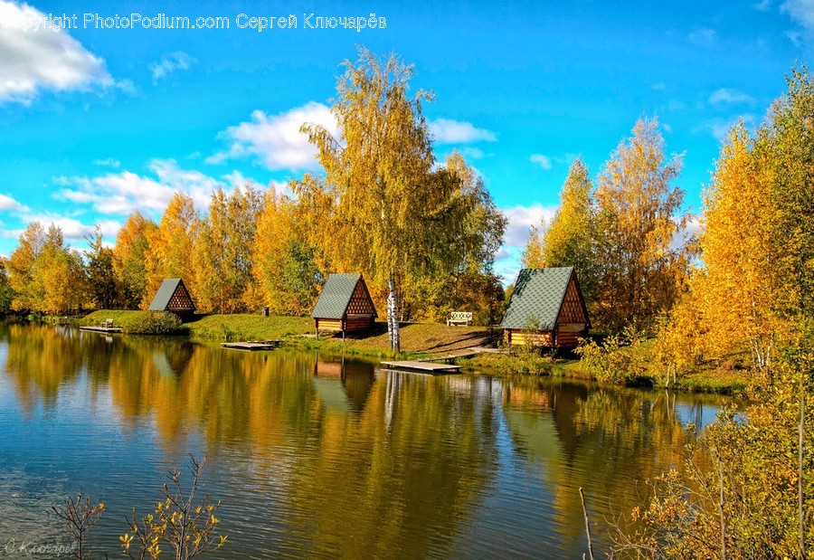 Building, Cabin, House, Housing, Cottage