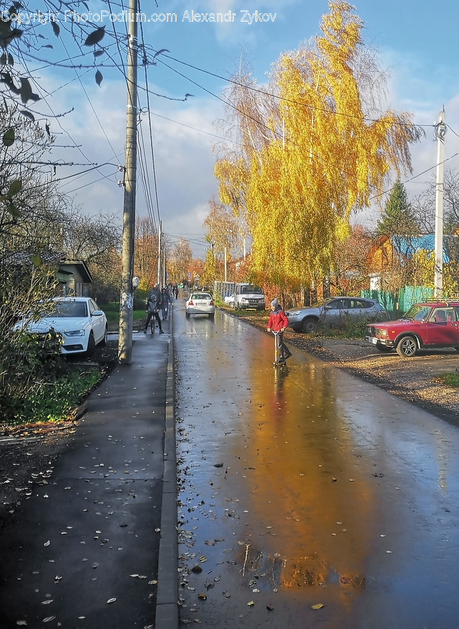Automobile, Car, Transportation, Vehicle, Asphalt
