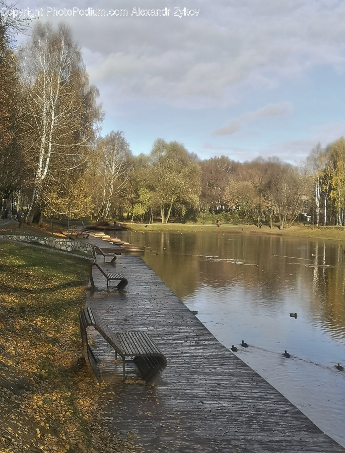 Bench, Dock, Pier, Flood, Nature