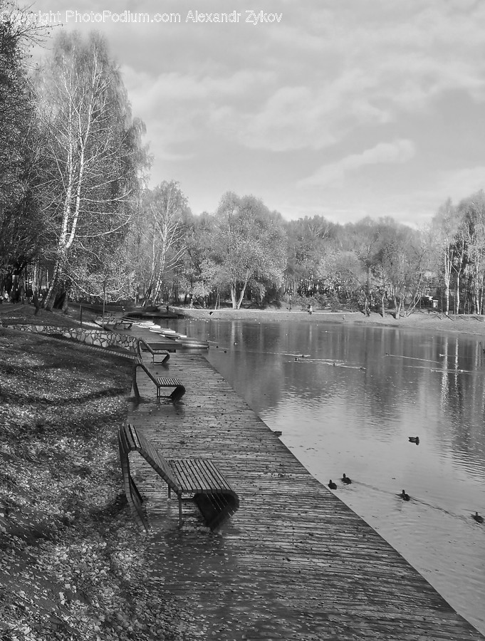 Bench, Water, Dock, Pier, Park