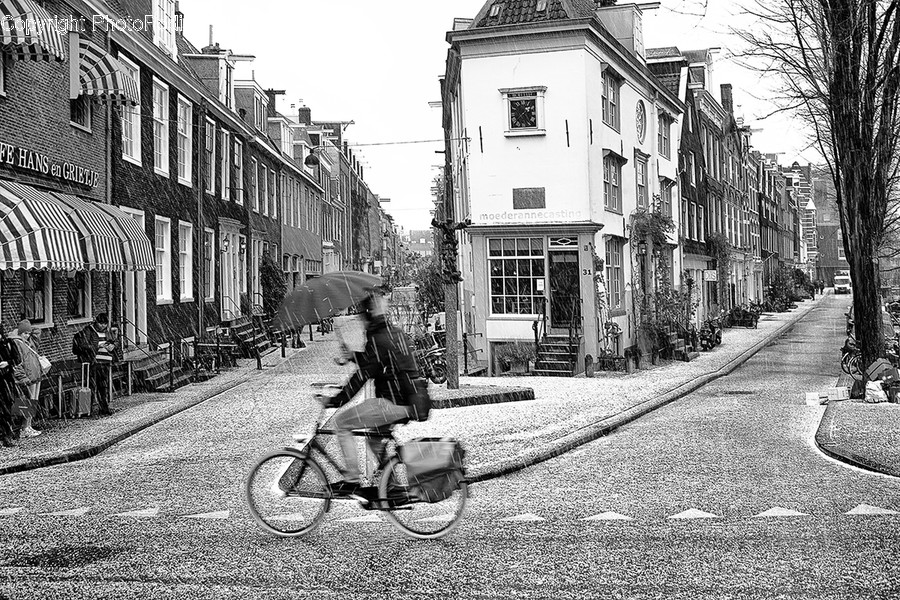 Human, People, Person, Cobblestone, Path