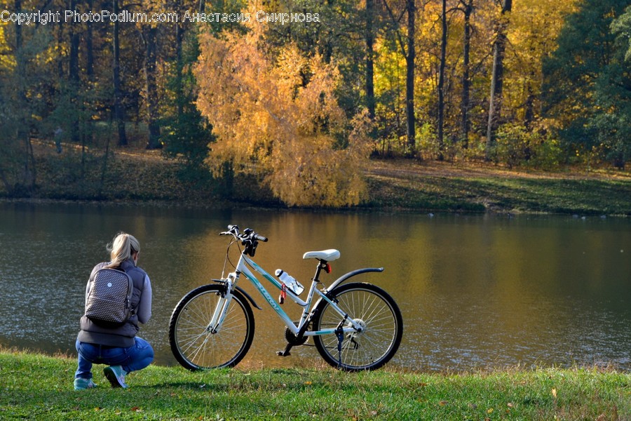 Human, People, Person, Bicycle, Bike
