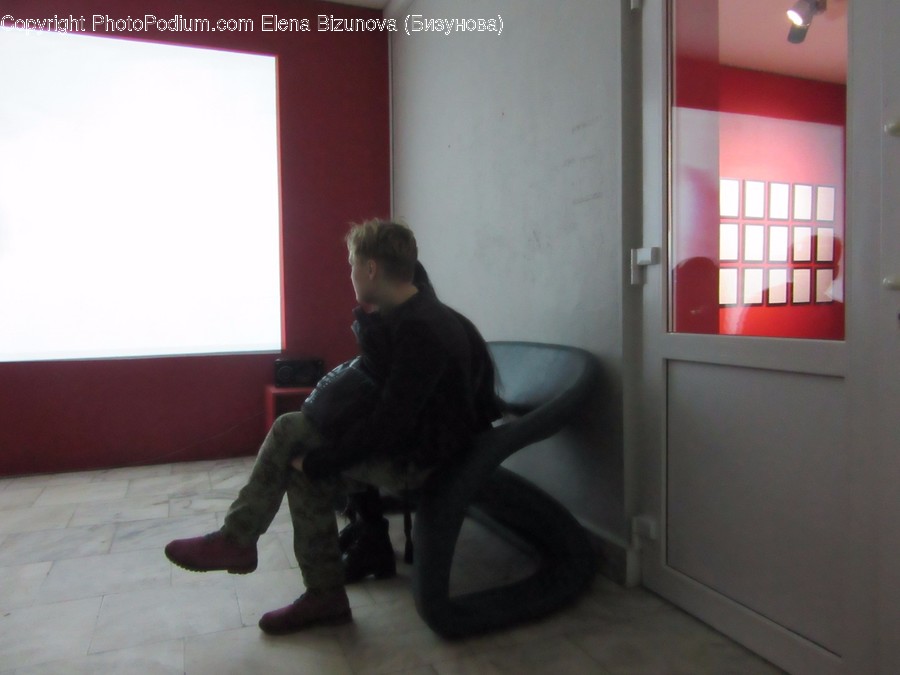Chair, Furniture, Art, Modern Art, Animal