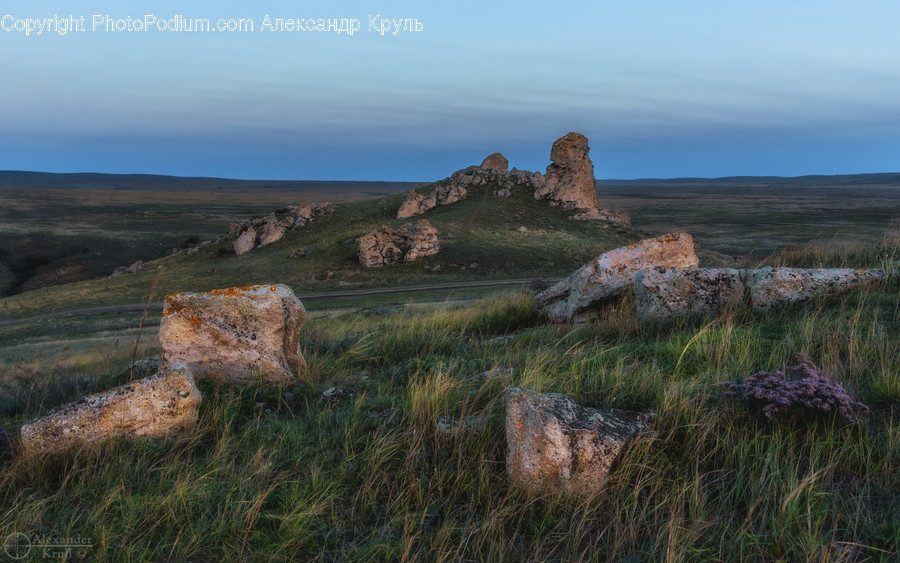 Tree Stump, Field, Grassland, Outdoors, Rock