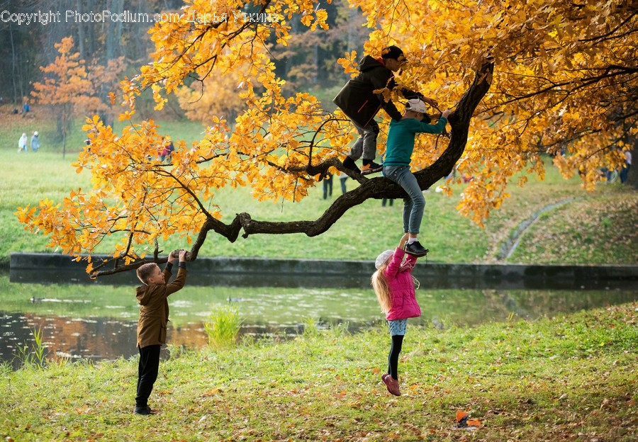 Human, People, Person, Blossom, Flora