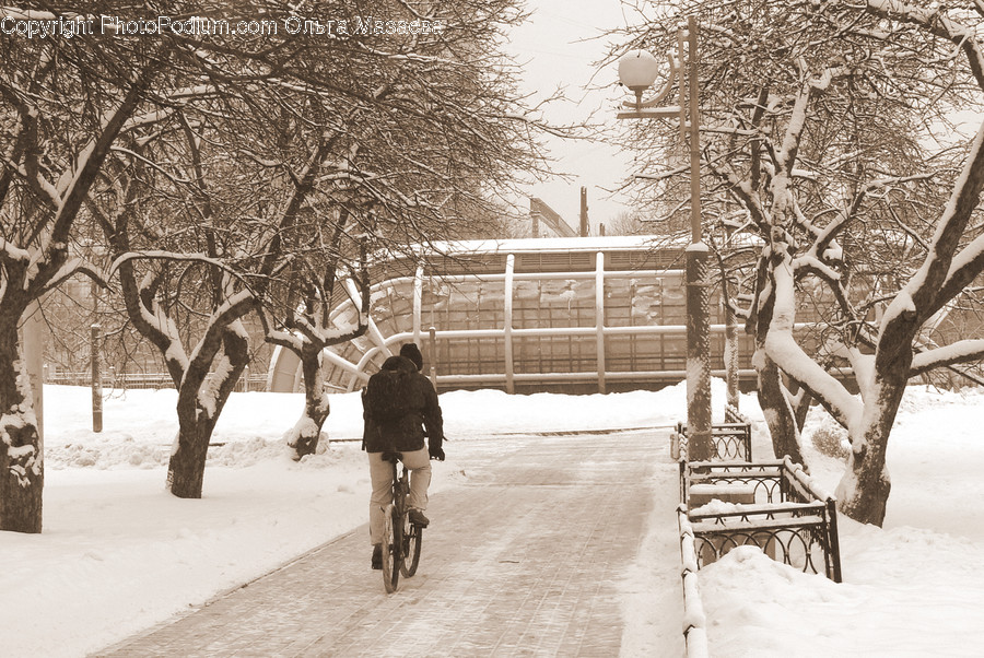 Human, People, Person, Bicycle, Bike