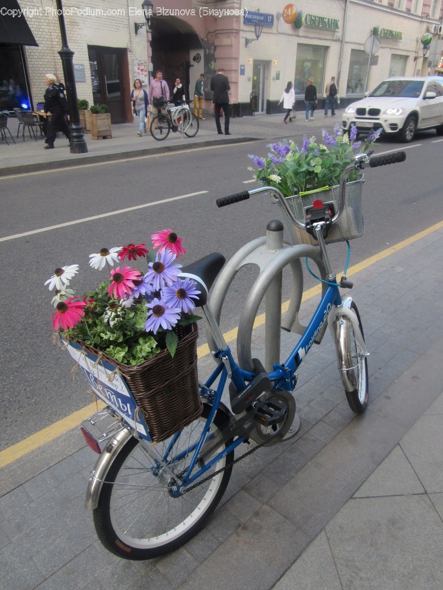 Bicycle, Bike, Transportation, Vehicle, Automobile