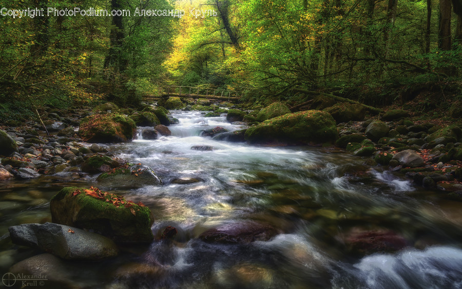 Water, Nature, Creek, Stream, Outdoors