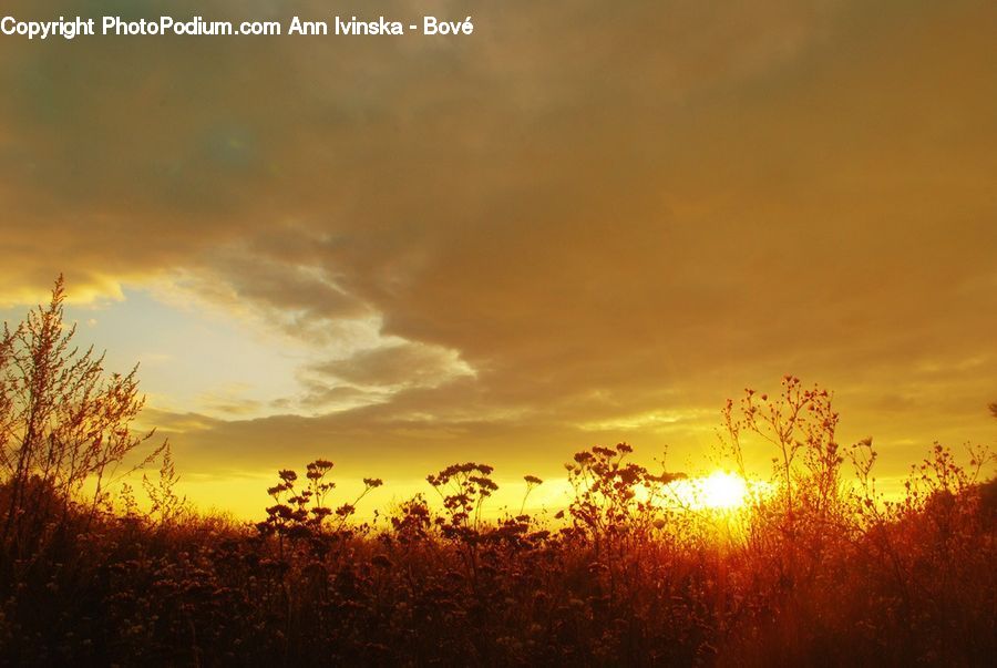 Dawn, Outdoors, Sky, Sun, Sunlight, Sunrise, Sunset
