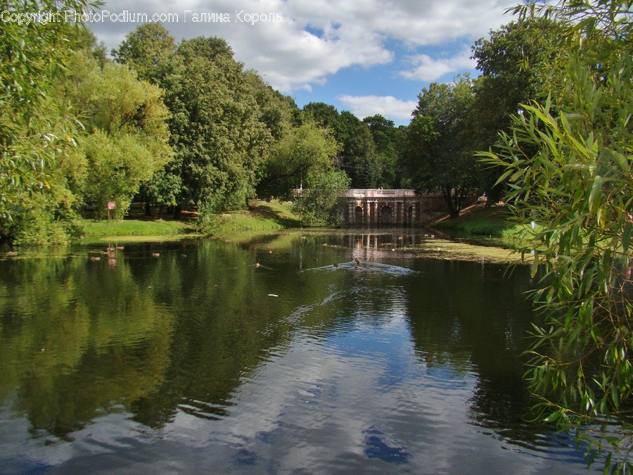 Water, Nature, Outdoors, Pond, Land