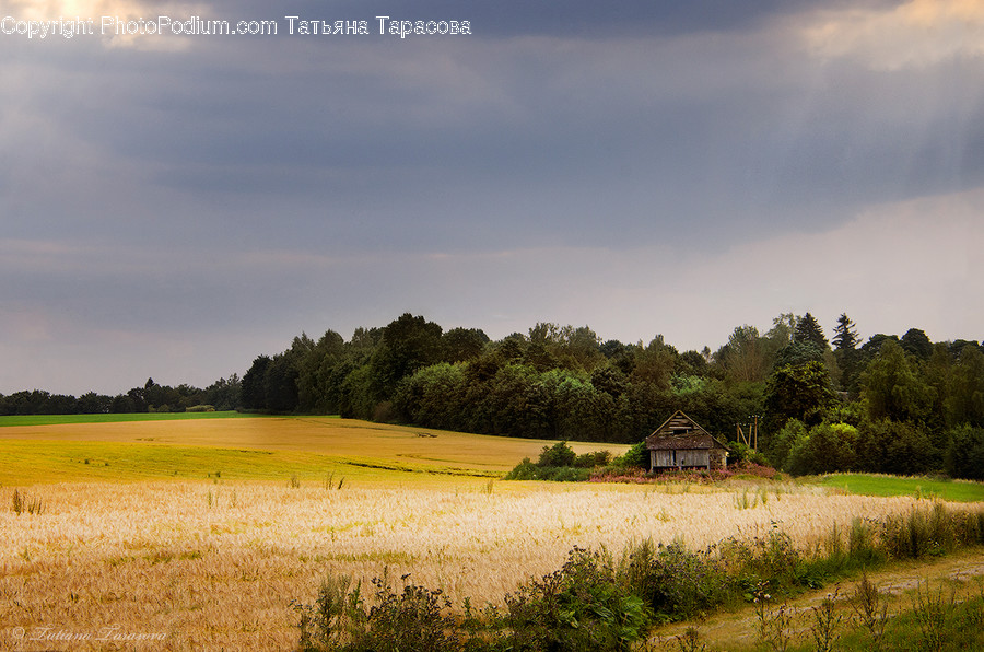 Outdoors, Nature, Countryside, Field, Building